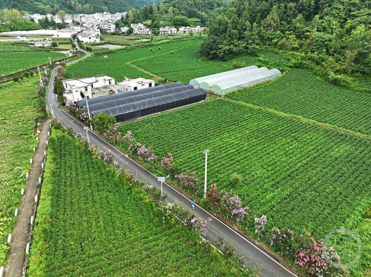 拉松比赛, span, 积极探索