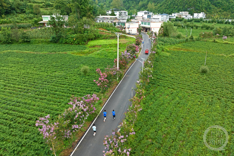 海拔, 民的宜居家